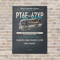 Thumbnail for PT6E-67XP vertical canvas print - no frame - gray background