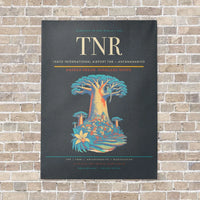 Thumbnail for Ivato International Airport TNR — Antananarivo vertical canvas print - no frame - gray background