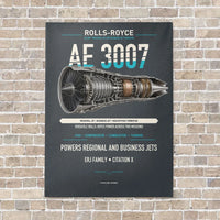 Thumbnail for AE 3007 vertical canvas print - no frame - gray background