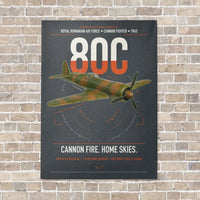 Thumbnail for IAR 80C vertical canvas print - no frame - gray background