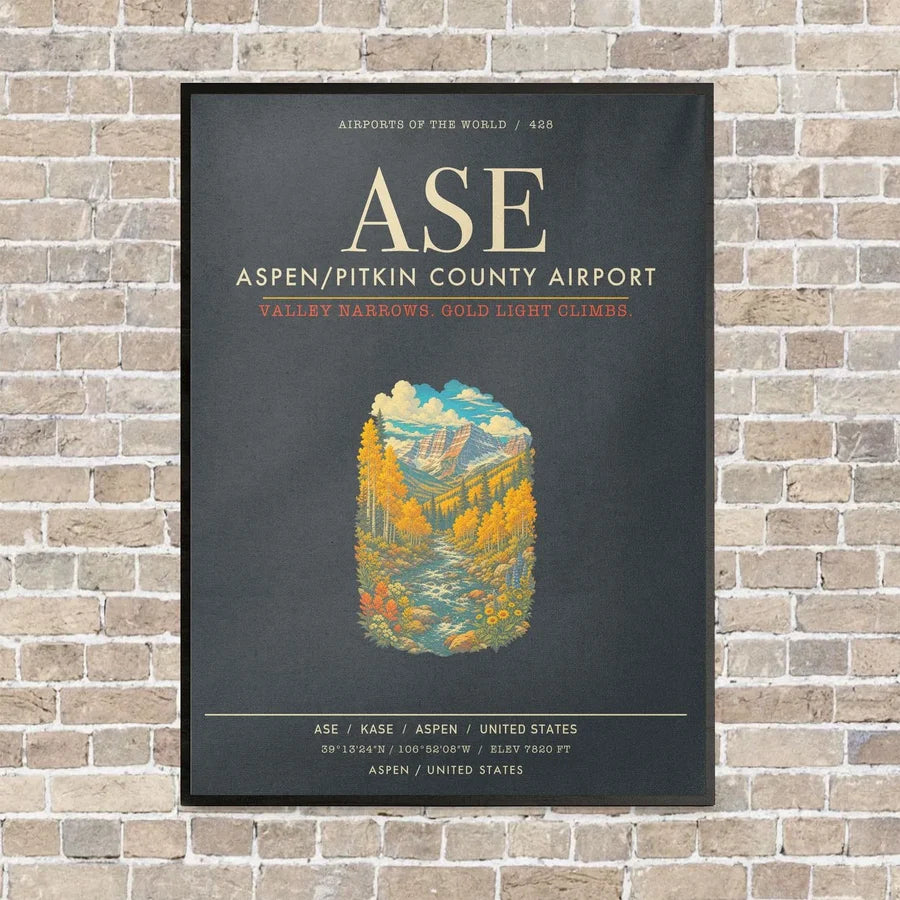 Aspen - Pitkin County Airport ASE - Canvas Framed - Gray