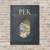 Thumbnail for Beijing Capital International Airport PEK - Canvas Framed - Gray
