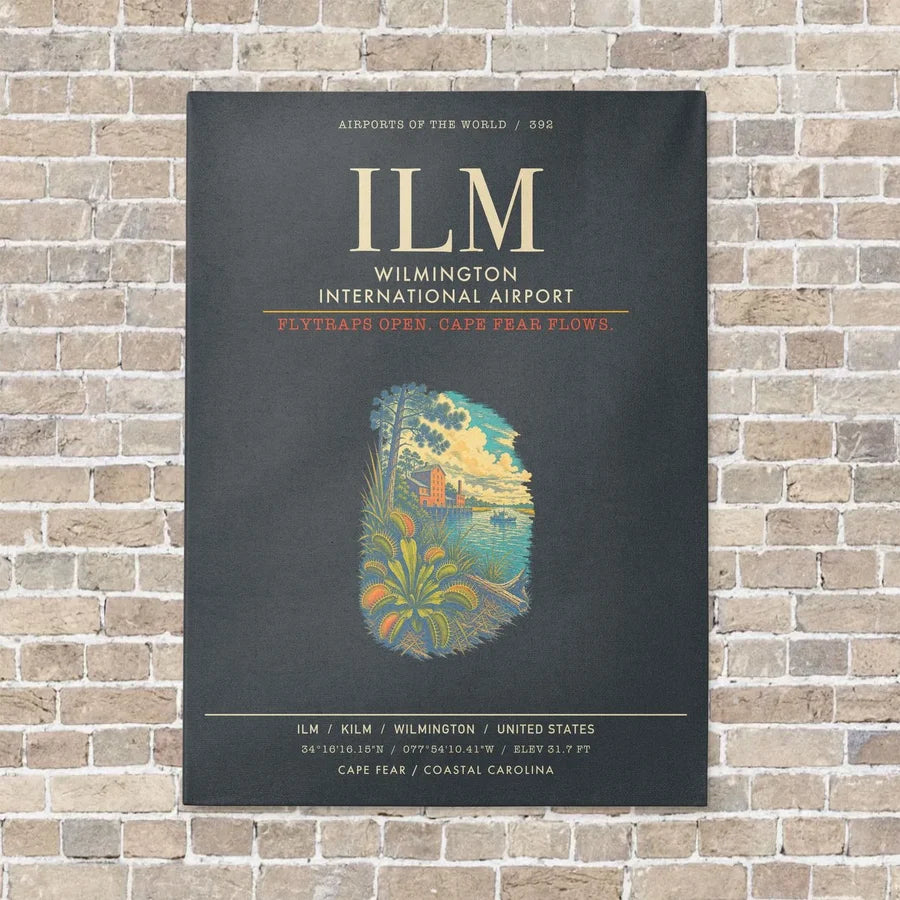 Wilmington International Airport ILM - Canvas Framed - Gray