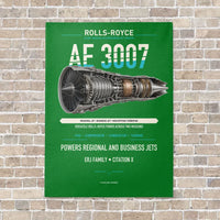 Thumbnail for AE 3007 vertical canvas print - no frame - green background