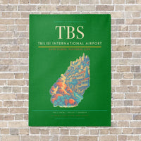 Thumbnail for Tbilisi International Airport TBS vertical canvas print - no frame - green background