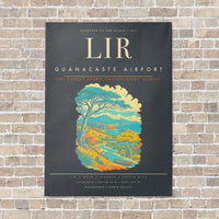 Thumbnail for Guanacaste Airport LIR - Canvas Framed - Gray