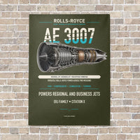 Thumbnail for AE 3007 vertical canvas print - no frame - green army background
