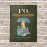 Thumbnail for Ivato International Airport TNR — Antananarivo vertical canvas print - no frame - green army background