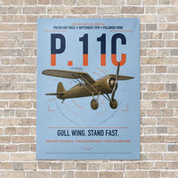 Thumbnail for PZL P.11c vertical canvas print - no frame - light blue background