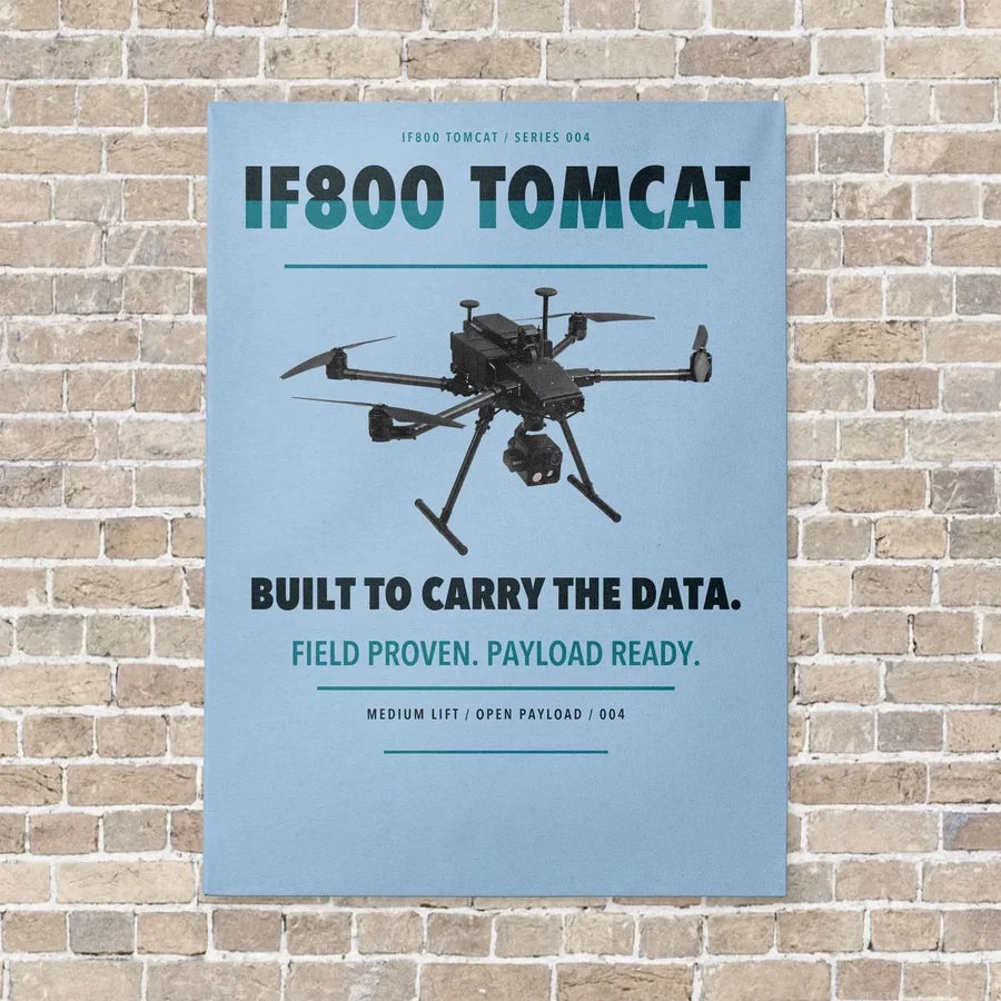 Inspired Flight IF800 Tomcat vertical canvas print - no frame - light blue background