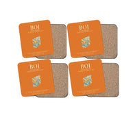 Thumbnail for Boise Airport BOI - Orange