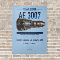 Thumbnail for AE 3007 vertical canvas print - no frame - light blue background