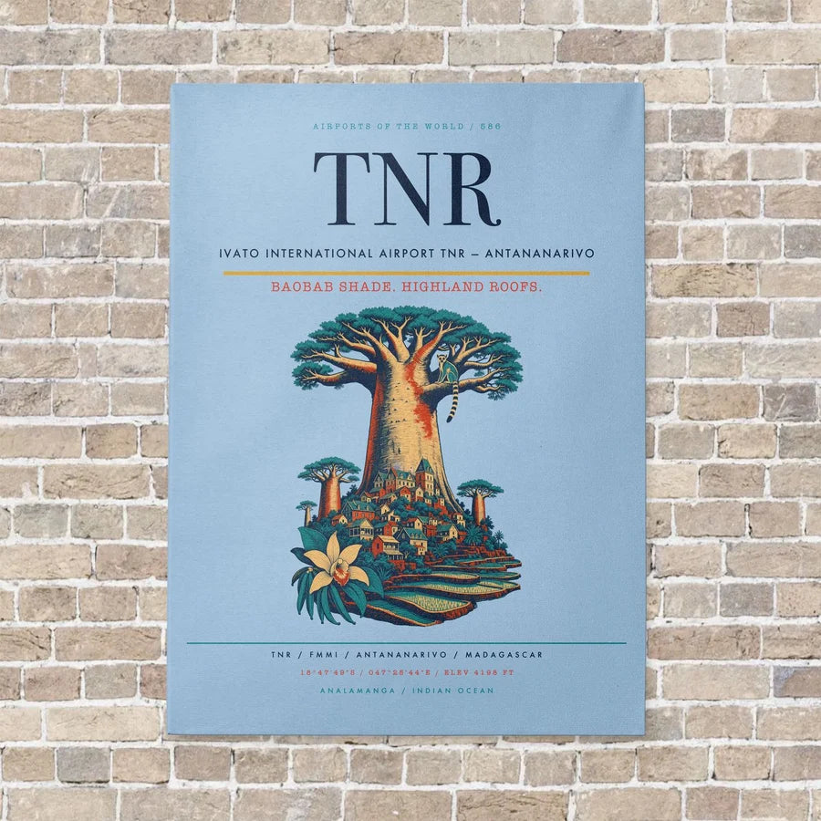 Ivato International Airport TNR — Antananarivo vertical canvas print - no frame - light blue background