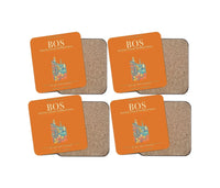 Thumbnail for Boston Logan International Airport BOS - Orange