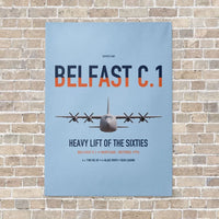 Thumbnail for Short Belfast C.1 vertical canvas print - no frame - light blue background