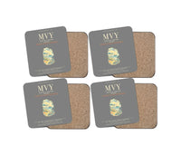 Thumbnail for Martha's Vineyard Airport MVY - Gray
