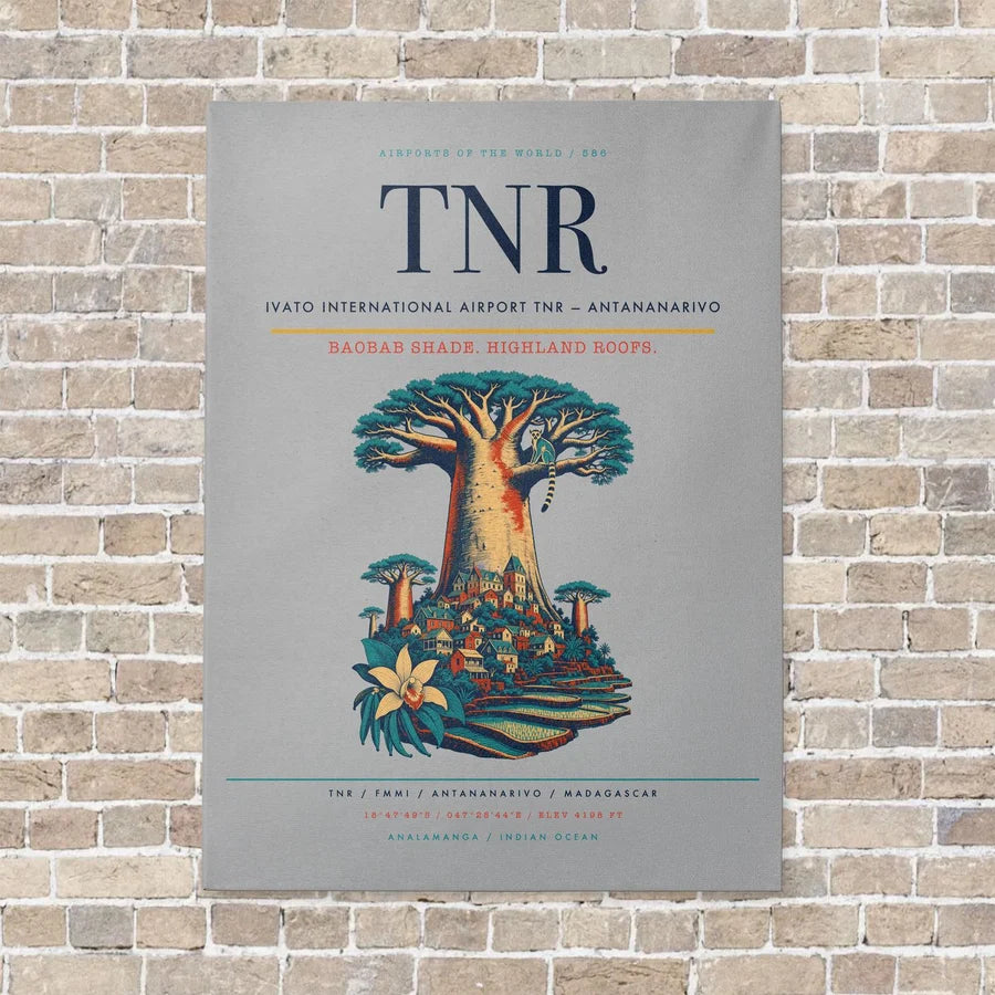 Ivato International Airport TNR — Antananarivo vertical canvas print - no frame - light gray background