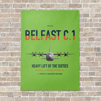 Thumbnail for Short Belfast C.1 vertical canvas print - no frame - light green background