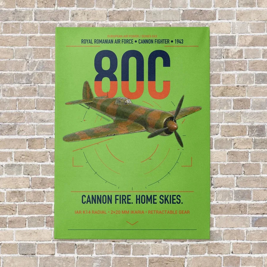 IAR 80C vertical canvas print - no frame - light green background