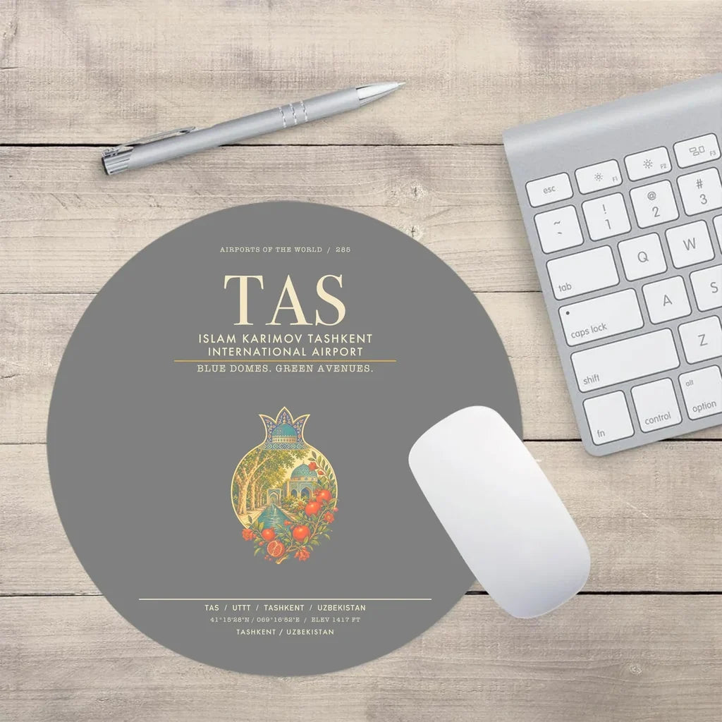 Islam Karimov Tashkent International Airport TAS - Gray