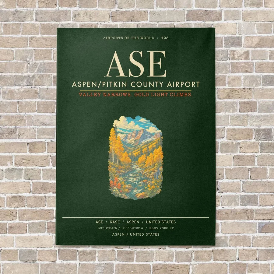 Aspen - Pitkin County Airport ASE - Canvas Framed - Dark Green