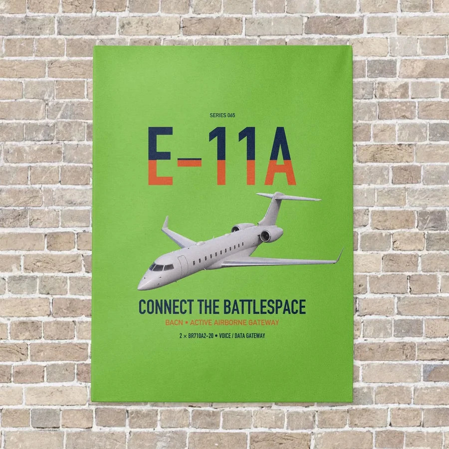 E-11A BACN vertical canvas print - no frame - light green background