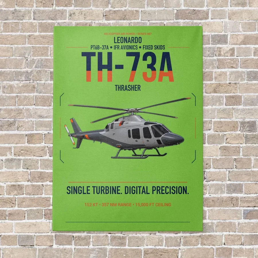 Leonardo TH-73A Thrasher vertical canvas print - no frame - light green background