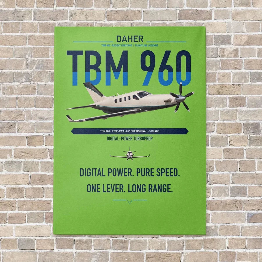Daher TBM 960 vertical canvas print - no frame - light green background