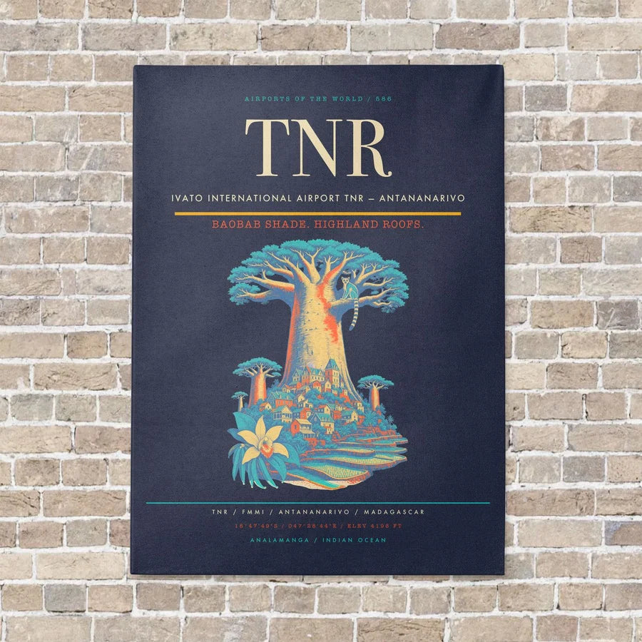 Ivato International Airport TNR — Antananarivo vertical canvas print - no frame - navy blue background