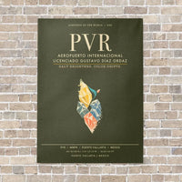 Thumbnail for Aeropuerto Internacional Licenciado Gustavo Diaz Ordaz PVR - Canvas Framed - Green Army