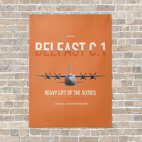 Thumbnail for Short Belfast C.1 vertical canvas print - no frame - orange background