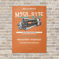 Thumbnail for M250-B17F vertical canvas print - no frame - orange background