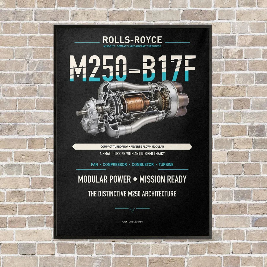 M250-B17F vertical canvas print - framed - black background