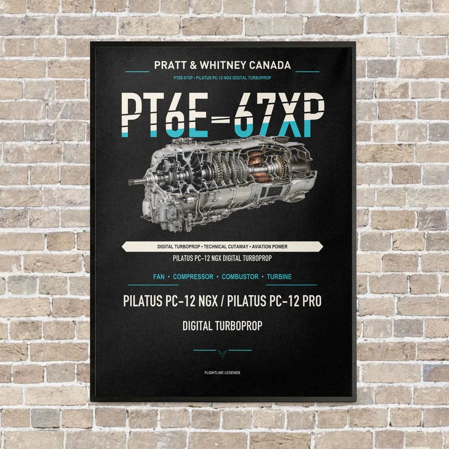 PT6E-67XP vertical canvas print - framed - black background