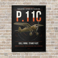 Thumbnail for PZL P.11c vertical canvas print - framed - black background