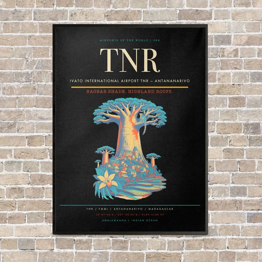 Ivato International Airport TNR — Antananarivo vertical canvas print - framed - black background