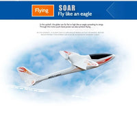 Thumbnail for F959s Three-Channel Push-Back Model - view 8