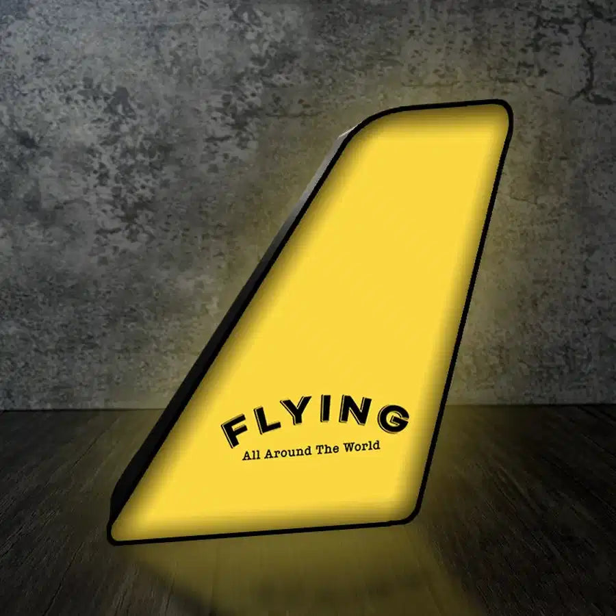 Flying All Around The World 3D Lamp - view 3
