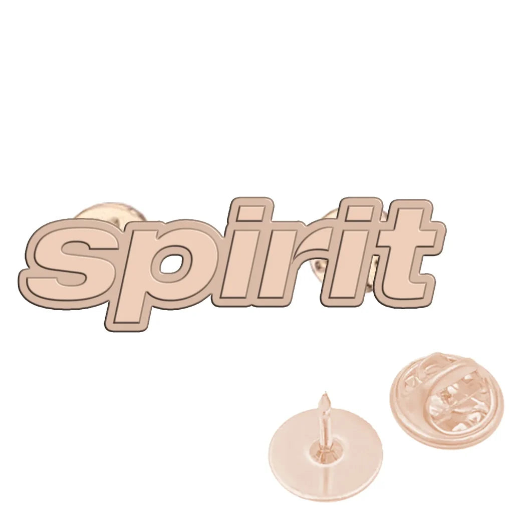Spirit Airlines Brooch - view 3