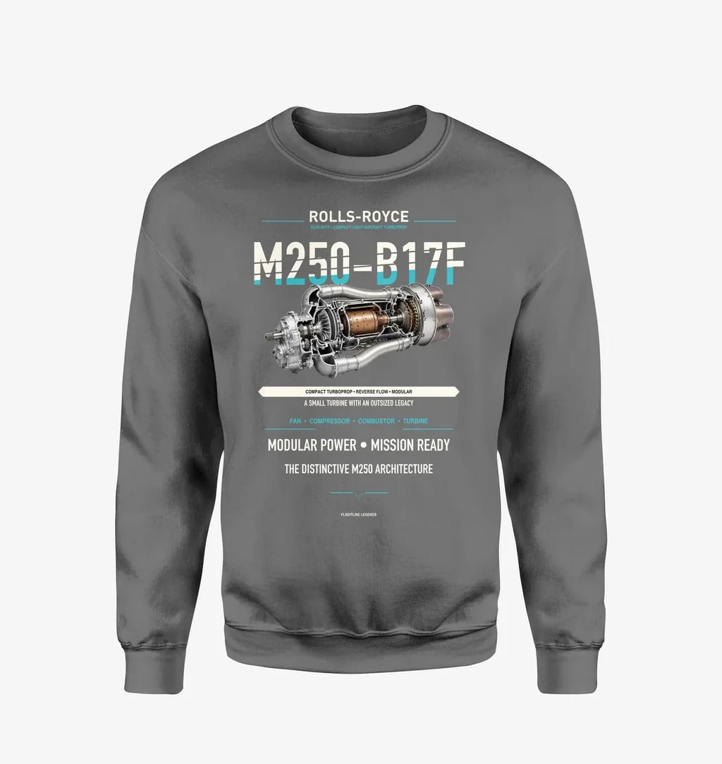 M250-B17F design on gray sweatshirt