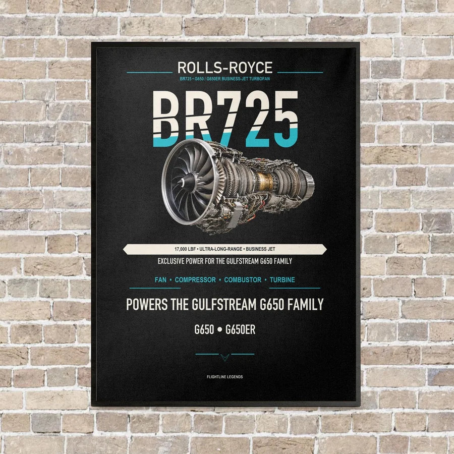 BR725 vertical canvas print - framed - black background