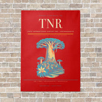 Thumbnail for Ivato International Airport TNR — Antananarivo vertical canvas print - no frame - red background