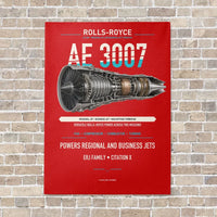 Thumbnail for AE 3007 vertical canvas print - no frame - red background