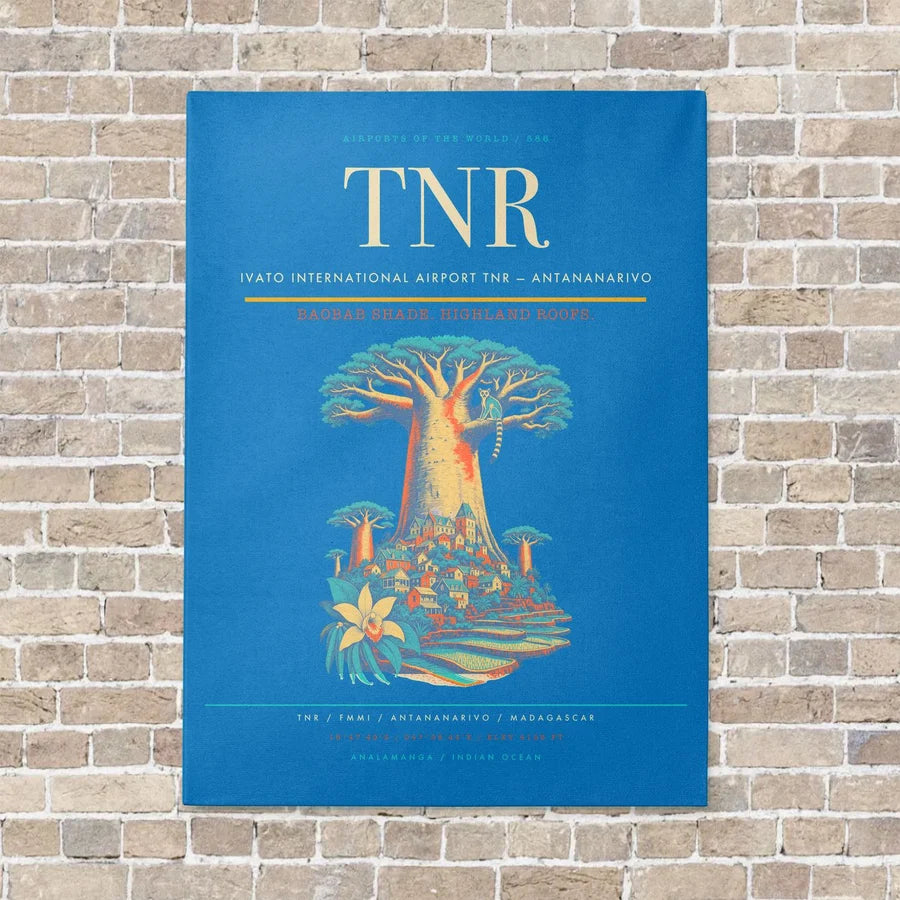 Ivato International Airport TNR — Antananarivo vertical canvas print - no frame - turquoise background