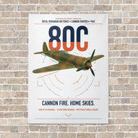Thumbnail for IAR 80C vertical canvas print - no frame - white background