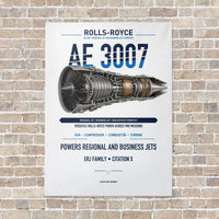 Thumbnail for AE 3007 vertical canvas print - no frame - white background