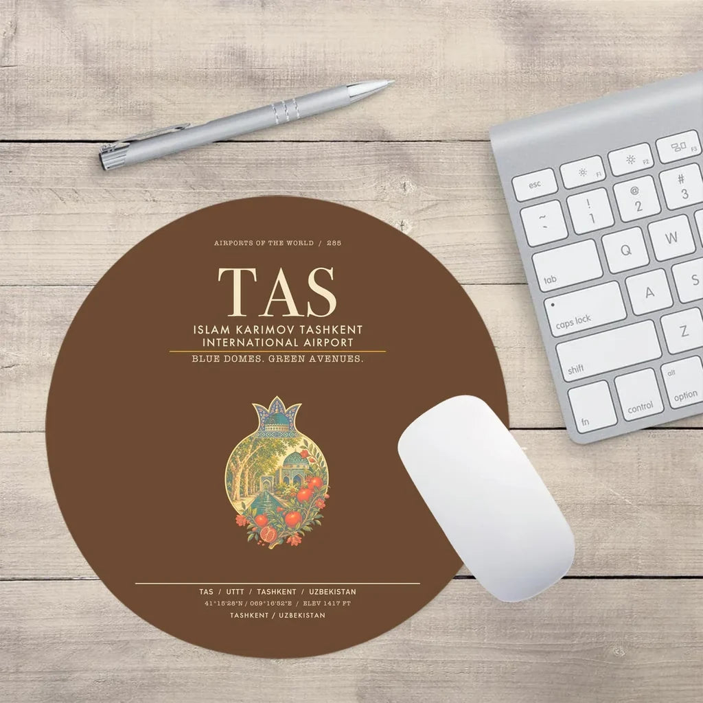 Islam Karimov Tashkent International Airport TAS - Brown