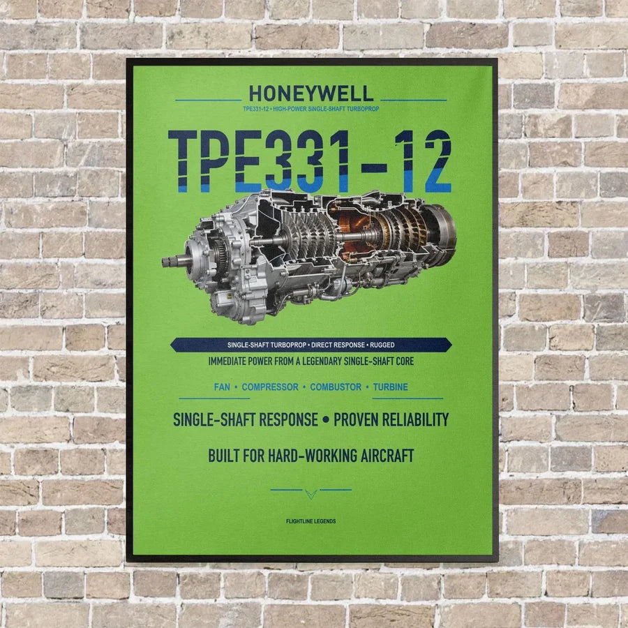 TPE331-12 vertical canvas print - framed - light green background