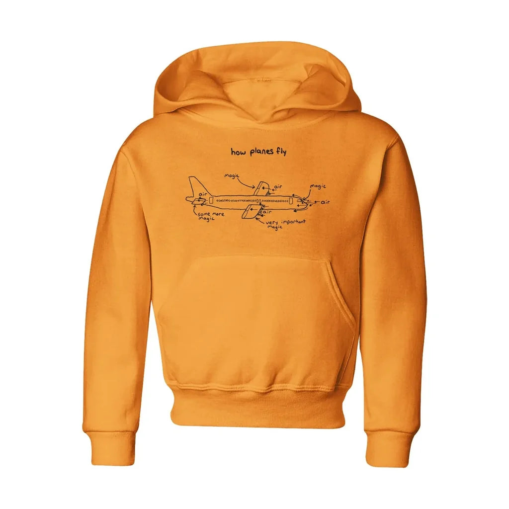 How Planes Fly Hoodie - view 4