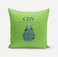 Thumbnail for Merle K. (Mudhole) Smith Airport (CDV) design on light green pillow